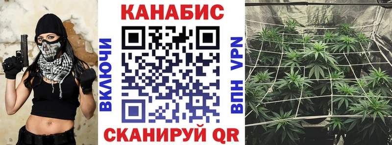 Бошки марихуана сатива  Николаевск 